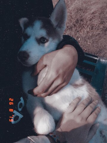 Llego Trueno a mi vida