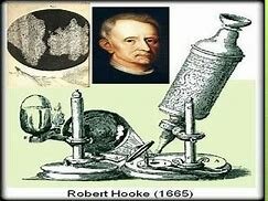 Robert Hooke