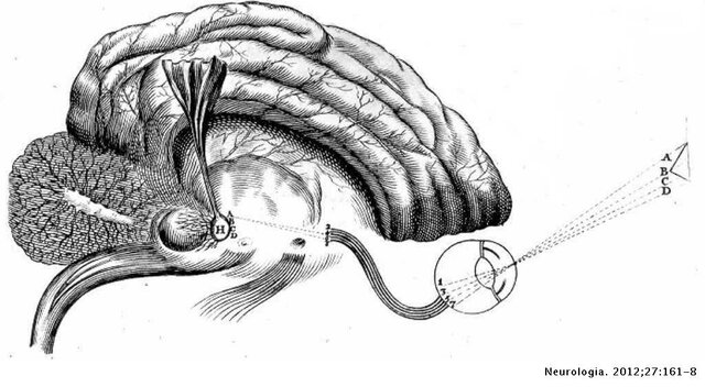 Descartes y la glándula Pineal