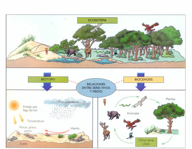 Geografía Botánica (1856)