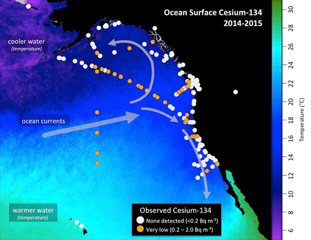 Radioactive Cesium Getting Higher