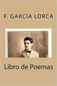 Libro de poemas