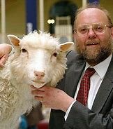 Ian Willmutkeith CampbelI