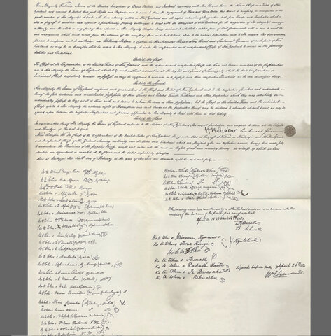 Treaty of Waitangi