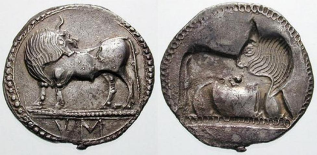 Surgimiento de la moneda