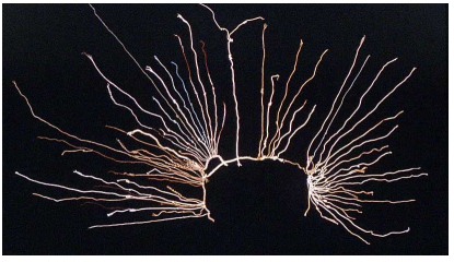 Quipu (Imperio Inca)