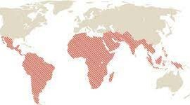 Timeline: Asia y Africa