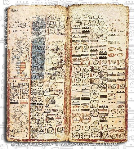 Découverte des Codex Maya