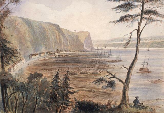 Essor du commerce du bois