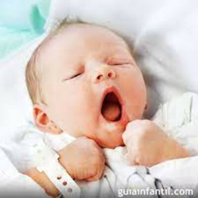 Timeline: bio como hija