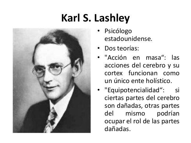 Kart Lashley