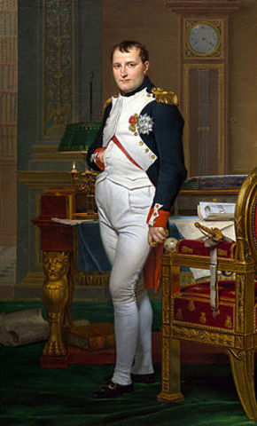 Napoleon Bonaparte Becoming The French Leader
