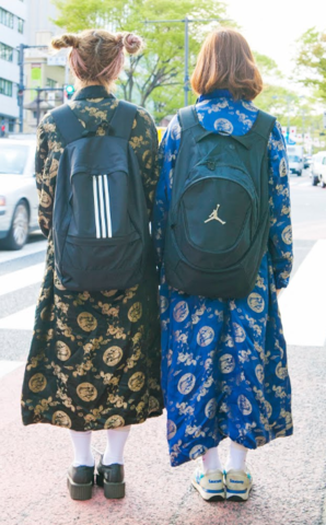 Futago Coodinate (Twin Coodinate）