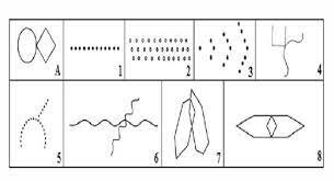 Neuropsicología de orientación neurológica