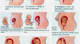 Timeline: L'embaràs