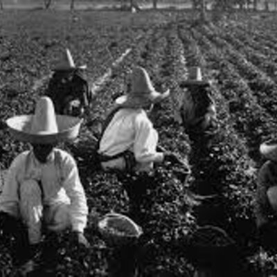 Timeline: Evolución de las políticas agrícolas en México