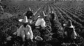 Timeline: Evolución de las políticas agrícolas en México