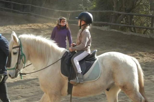 Em van regalar a la meva gata per haver-me mossegat i caigut del caball!