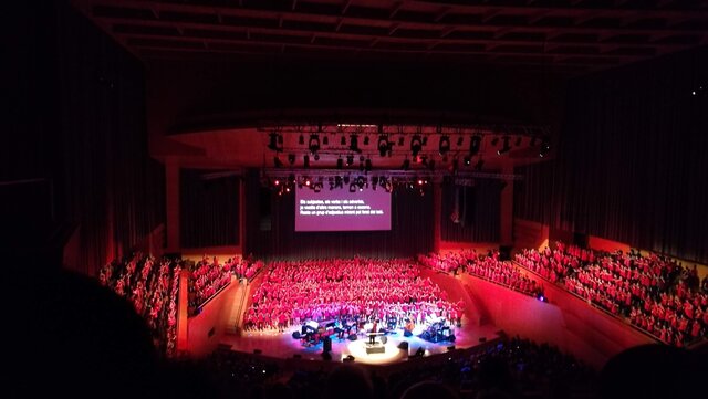 Vam fer la Cantània.