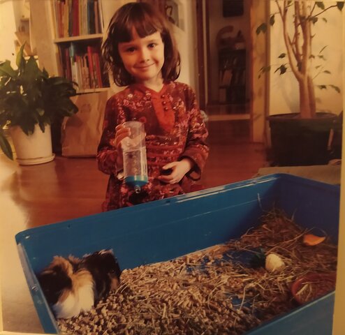 Em van regalar un conill d'indies