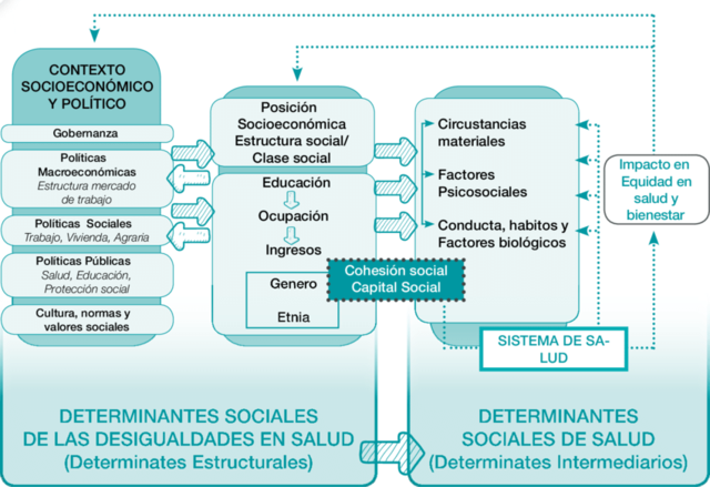 Mecanismos epigenéticos son activados por diversas causas;