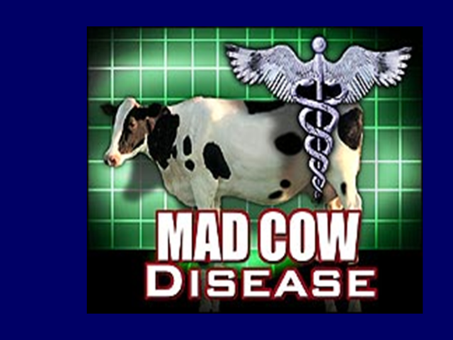 Mad cow disease