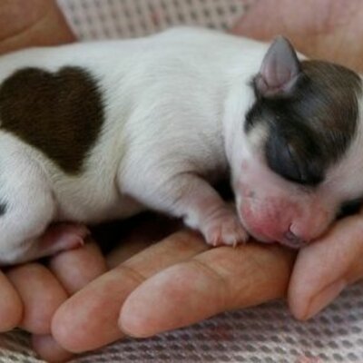 Timeline: gdhgfdfghdgfhd