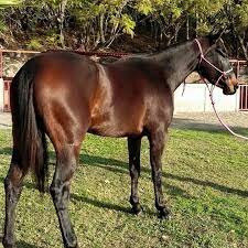 We woke up early and my family and 2 cousins went horseback riding