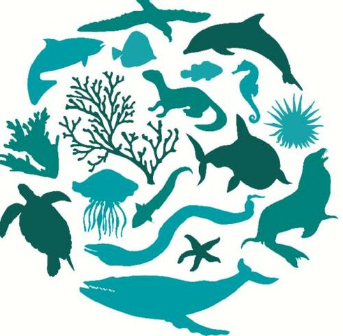 Convención para la protección de la biodiversidad