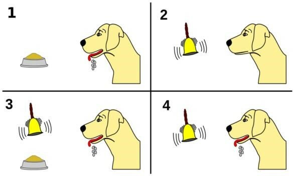 Ivan Pavlov - Conductismo