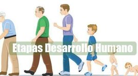 Timeline: Etapas del desarrollo humano