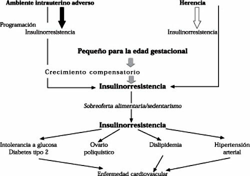 Bases endocrinas del RCI