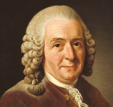 FILOSOFÍA BOTÁNICA