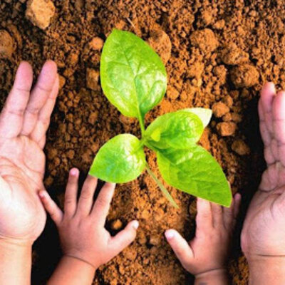 Timeline: Evolución de la Educación Ambiental y su Marco Normativo