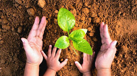 Timeline: Evolución de la Educación Ambiental y su Marco Normativo