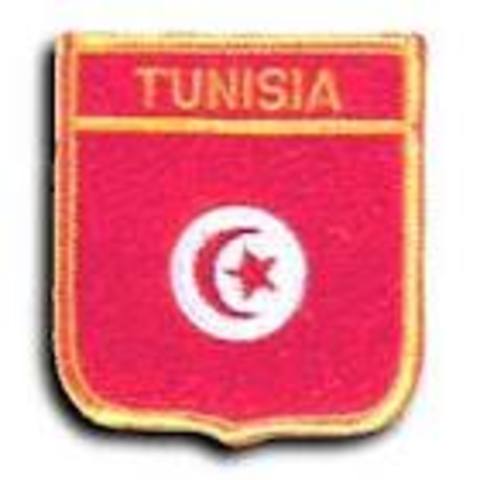 Tunisia gains independence from france 1956
