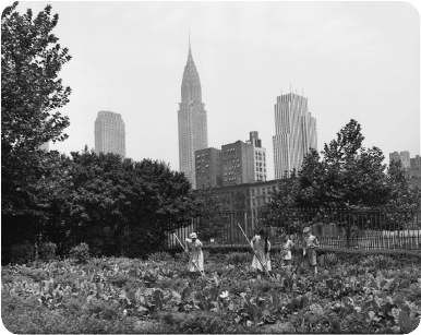 Employment Gains for Mexican Americans (Home Front)