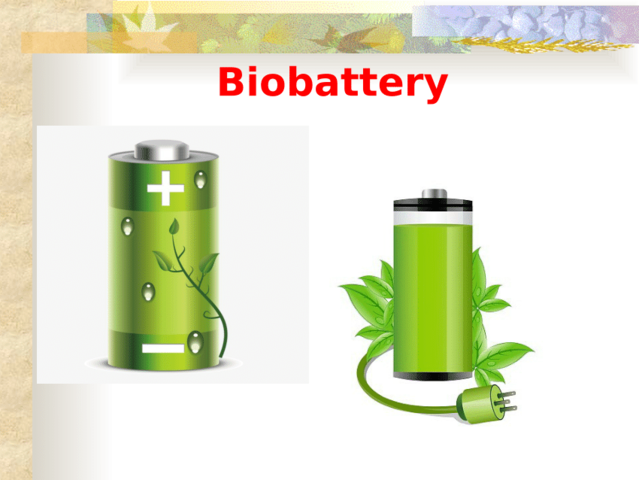 BIO-BATTERY