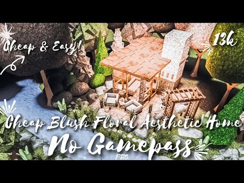 Vaig coneixer Roblox!