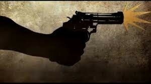 HECHOS POLÍTICOS- Asesinato del Archiduque Francisco Ferrán-