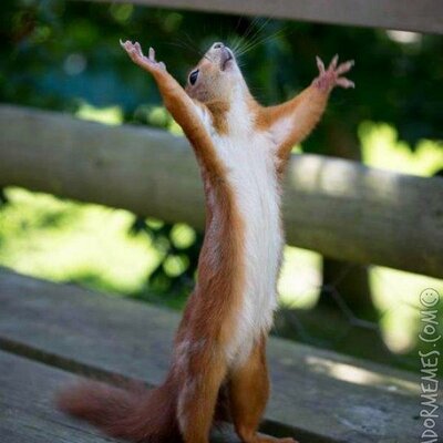 Timeline: Etapes de la història