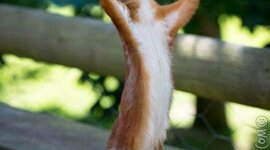 Timeline: Etapes de la història