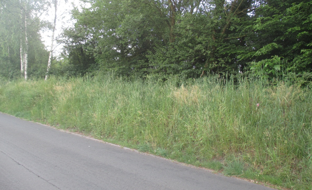 Première campagne d'échantillonnage