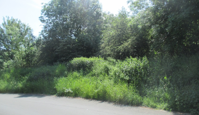 Troisième campagne d'échantillonnage (butte paysagère)