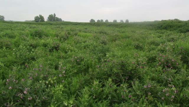 Troisième campagne d'échantillonnage (TD26)