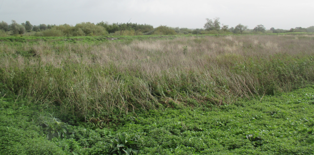 Quatrième campagne d'échantillonnage (TD26)