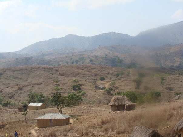 PROGRAMA TALA DE ARBOLES