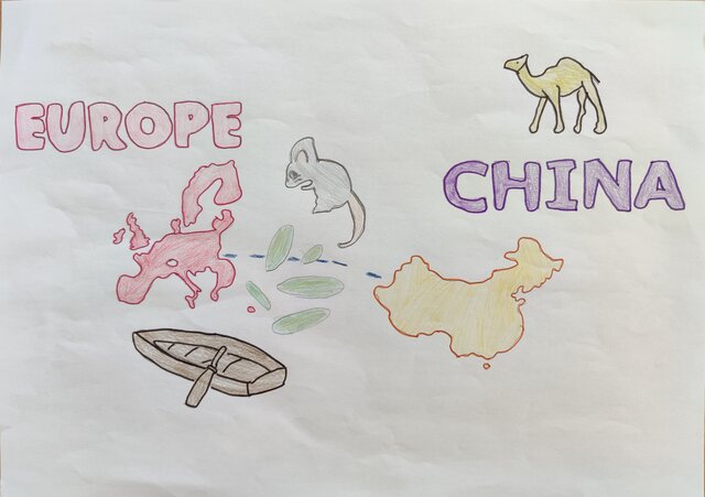 The plague arrives in Europe