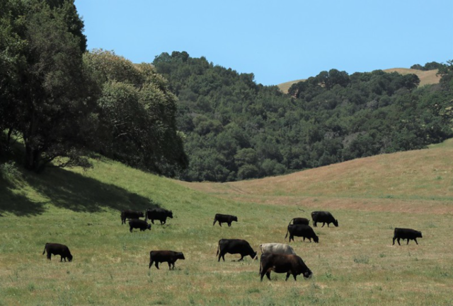 [Personal] Visit to Fernandez Ranch