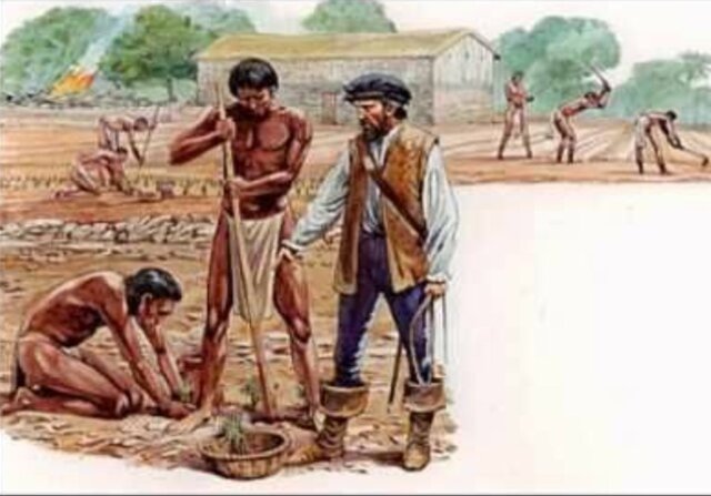 Se establece el sistema de encomiendas.